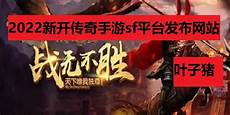 传奇sf发布网传奇sf发布网,一般写着10分钟100级以上的就算是比